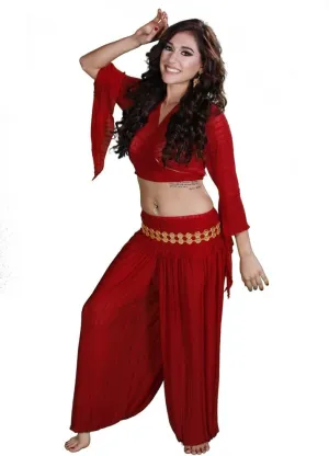 Belly Dance Harem Pants, Top & Belt Costume Set | Sheer Harem