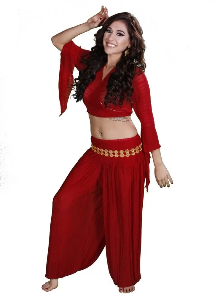 Belly Dance Harem Pants, Top & Belt Costume Set | Sheer Harem