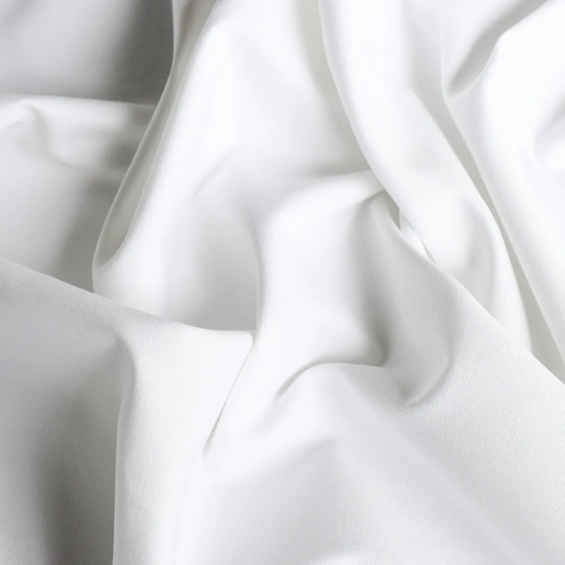 Last Chance of Coco White Cotton Canvas